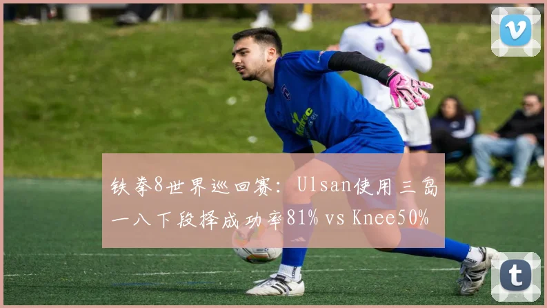 铁拳8世界巡回赛：Ulsan使用三岛一八下段择成功率81% vs Knee50%，防守反击策略差异